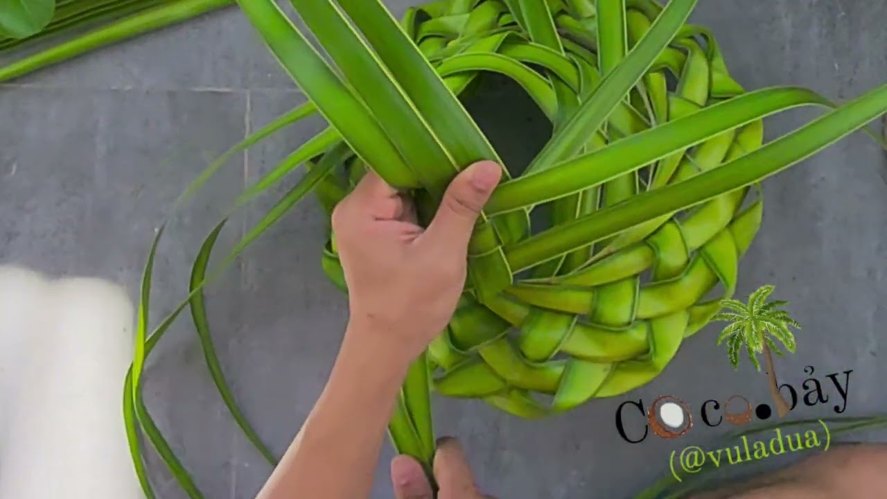 Hướng dẫn cách đan nÓn lá dừa chóp (⭐️-Ngũ giác) | How to make a (⭐️) cocoleaf Hat | @vuladua