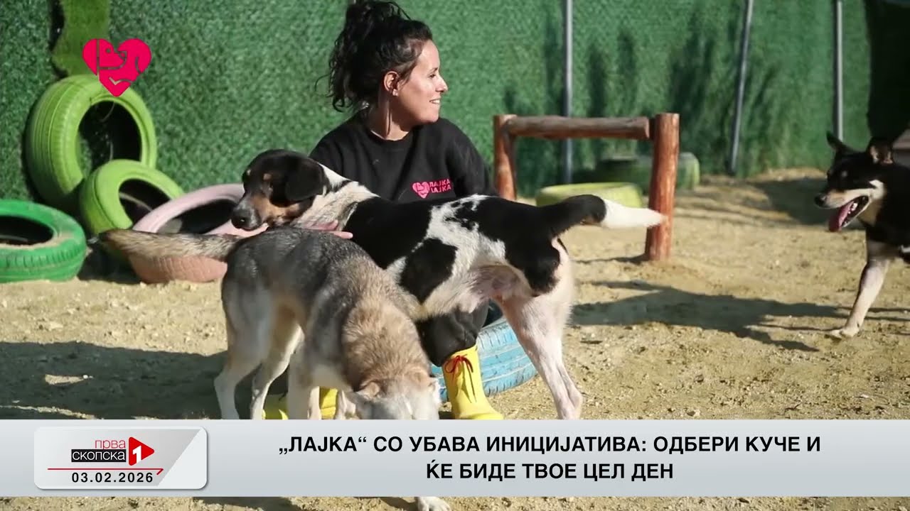 Инфоскоп - 03.02.2026