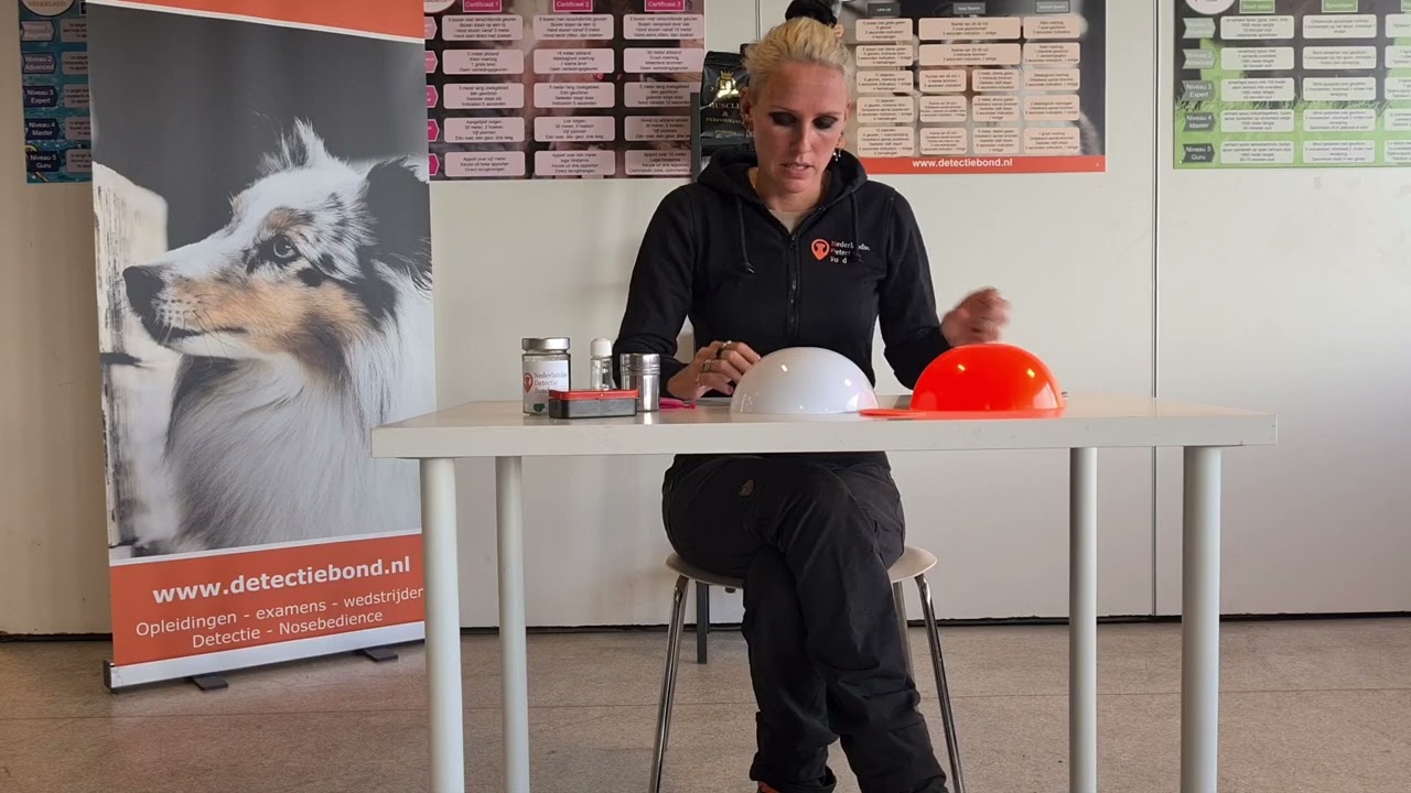 Wat heb ik nodig om thuis detectie te trainen?