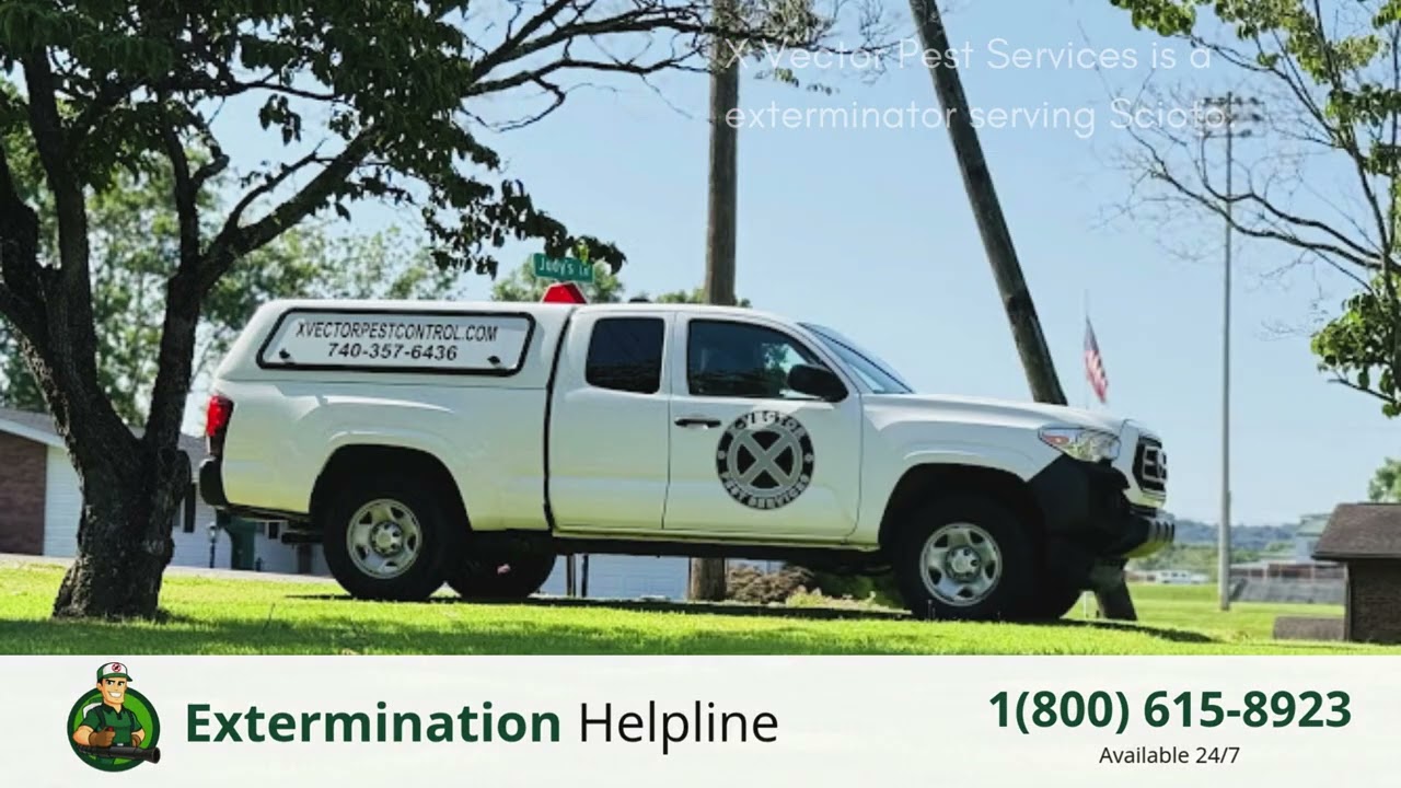 Top 3 Exterminators in Scioto