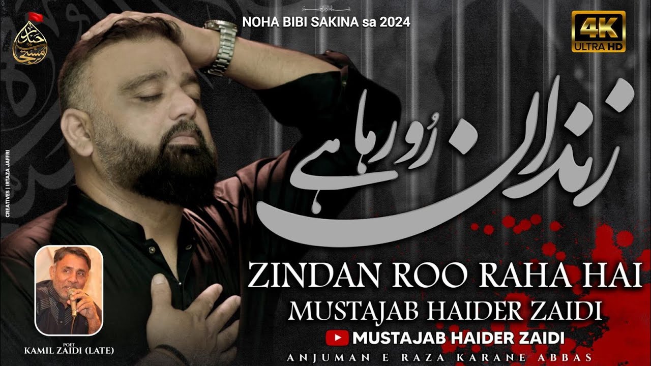 Bibi Sakina Noha 2024 | Zindan Ro Raha Hai | 13 Safar Noha 2024 | Mustajab Haider Nohay 2024