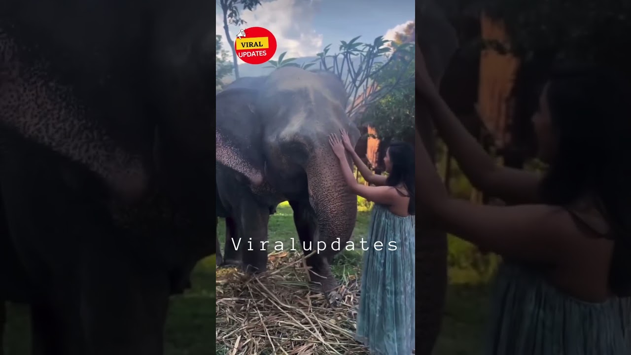 #niharikakonidela latest video from Thailand #niharika #trendingnow #viralupdates #tollywood #latest