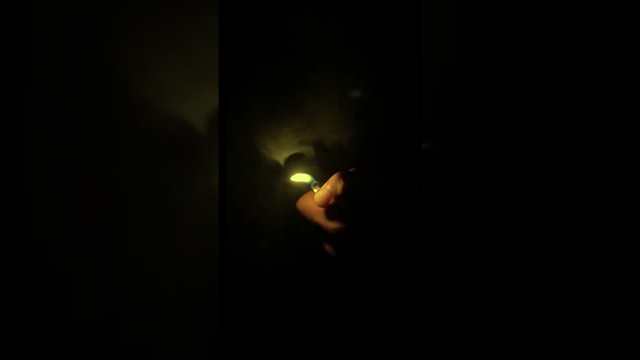 TOA - Thiago García (VISUALIZER)
