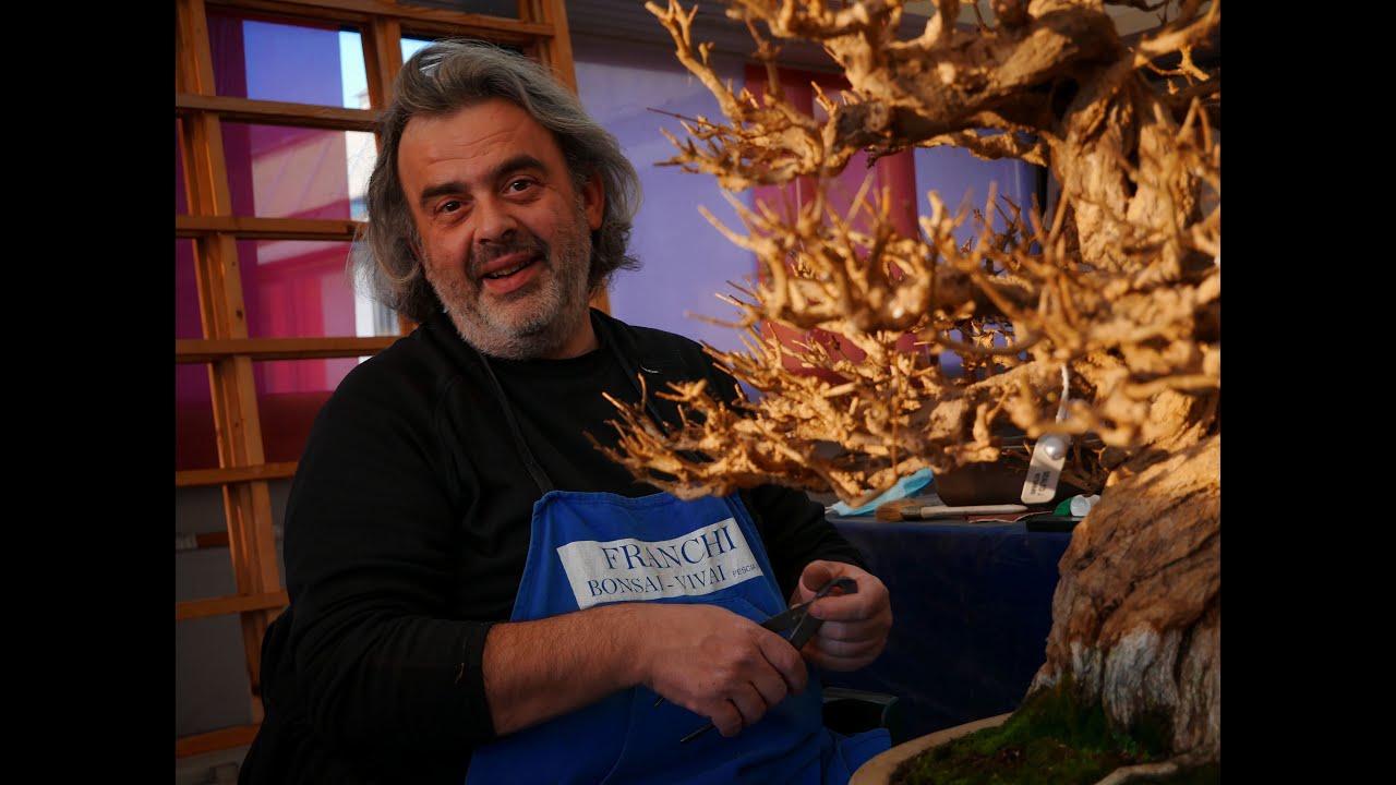 com'è andato Arco Bonsai? Intervista a Francesco Santini