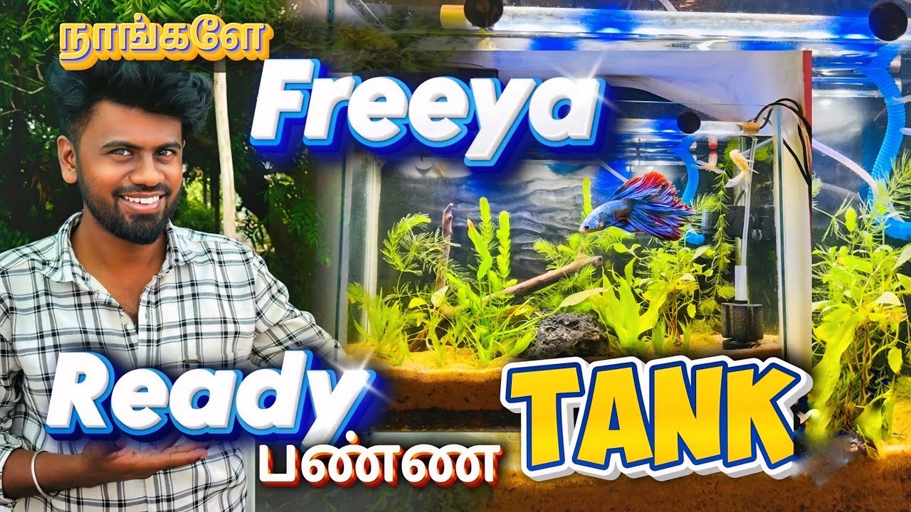 🐠வித்தியாசமான planted tank 🌱 | setup  new tank | balasvoyage