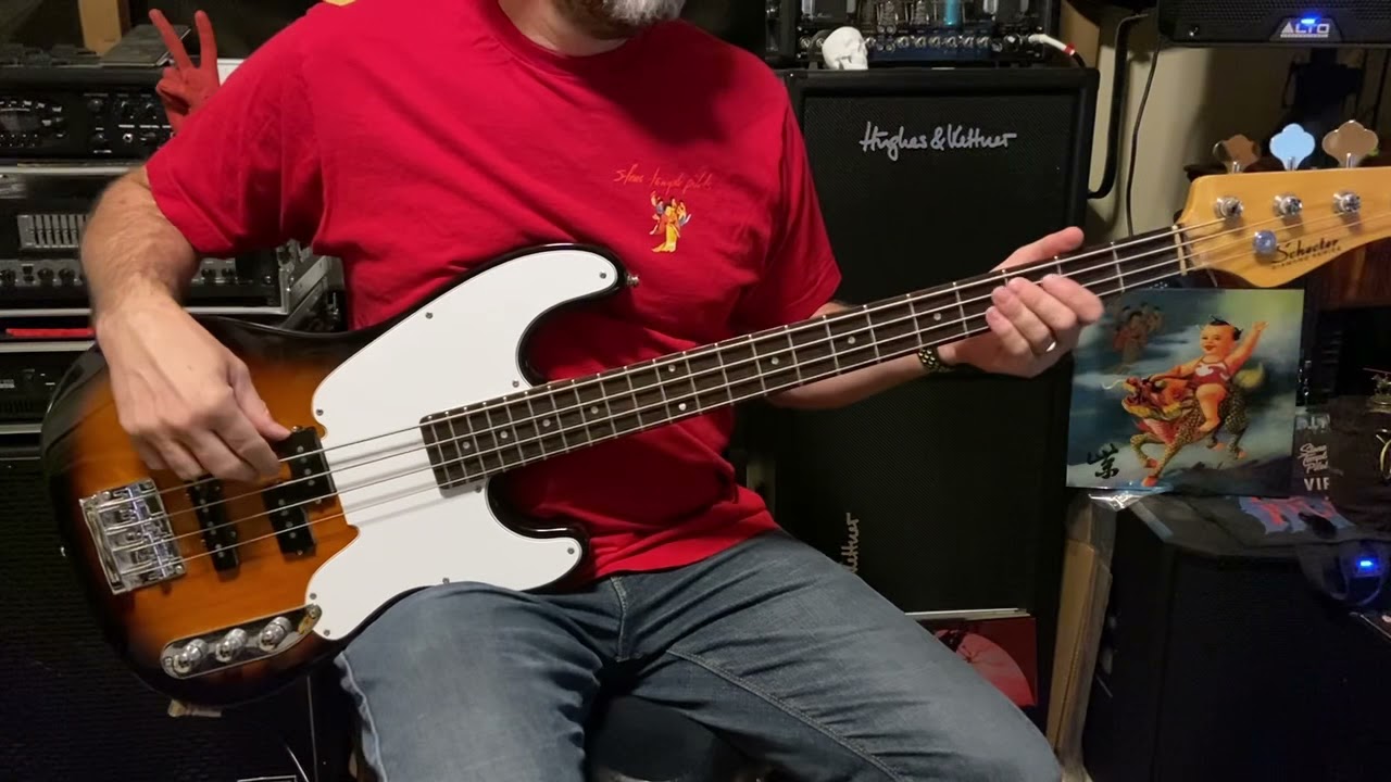 Silvergun Superman [STP] Bass Cover