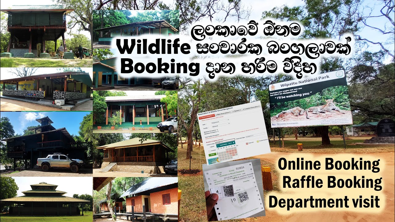 How to book wildlife department bungalows in Sri Lanka | Online & Site visit