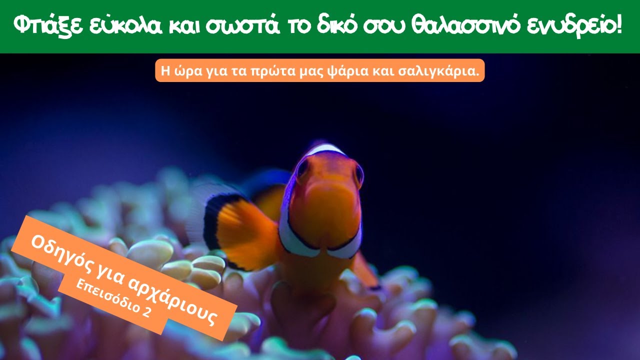Nano reef Επεισόδιο2 Στρώσιμο ενυδρείου και οι πρώτοι κάτοικοι.Οι εργάτες που έσωσαν την κατάσταση