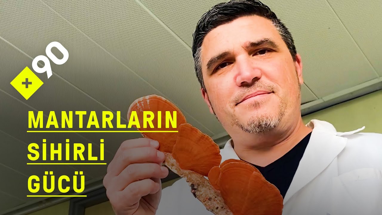 Mantarların sihirli gücü: Mantarlar, doğanın geleceğe bir armağanı mı?