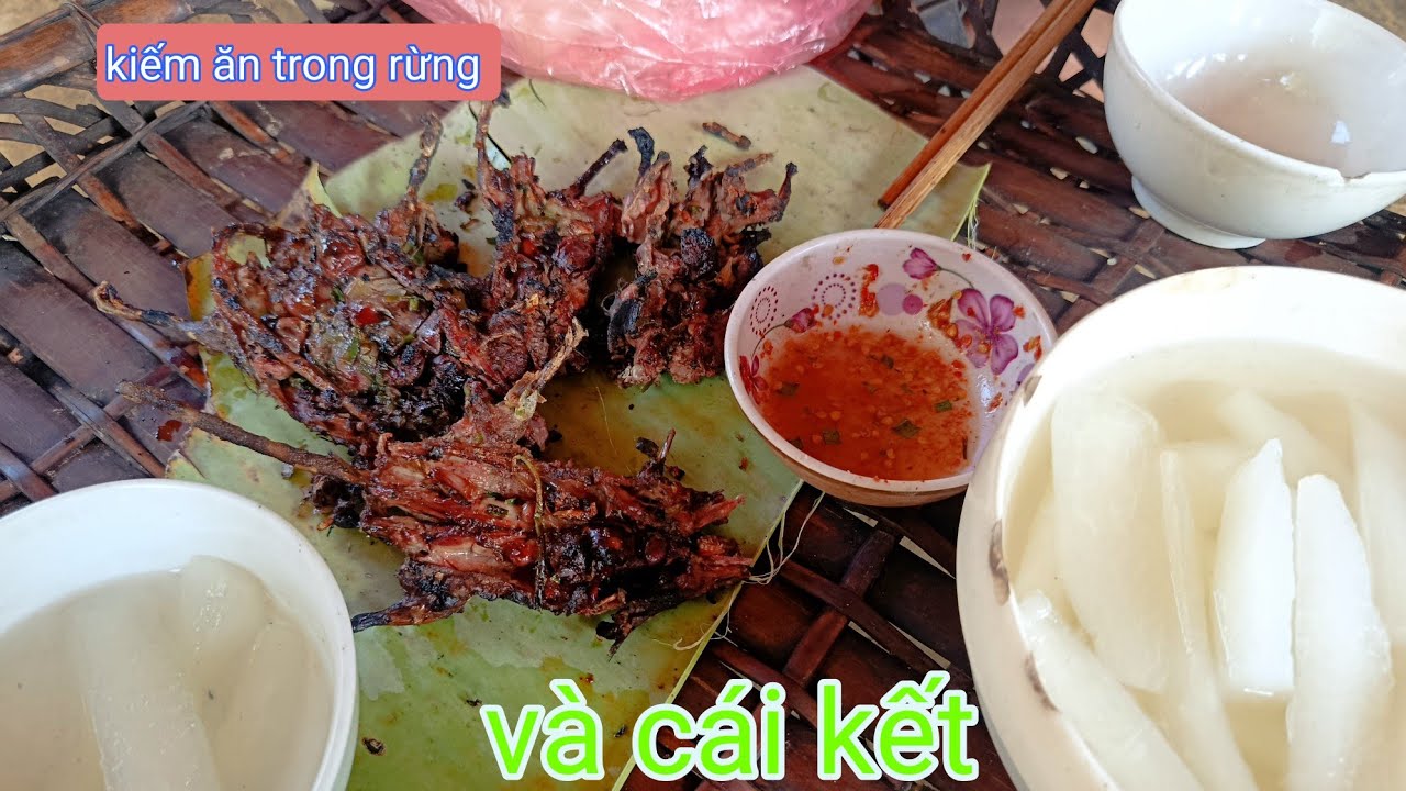 Cuộc sống hoang dã Cách kiếm ăn trong rừng 