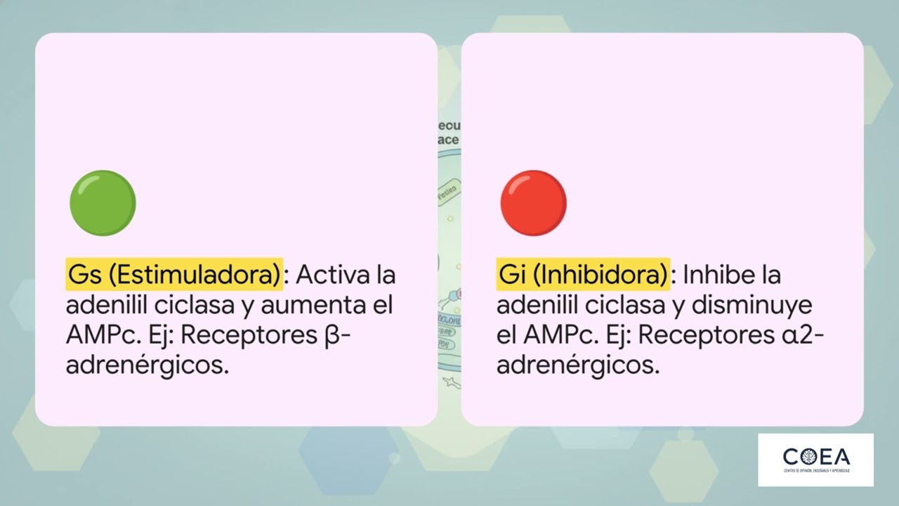 Mecanismos de Transducción Celular - Fisiología