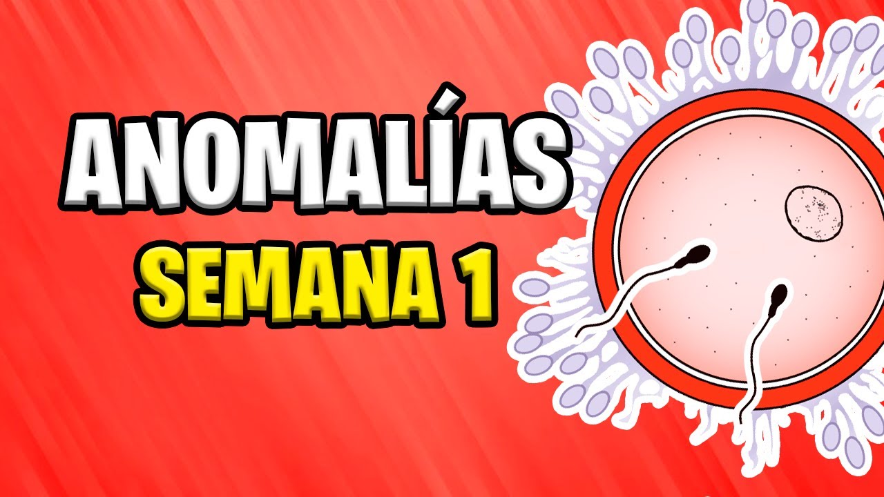 Primera Semana: Anomal&iacute;as y Errores del Desarrollo Embrionario 💀