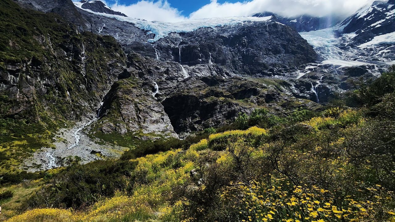 Rob Roy Glacier Track