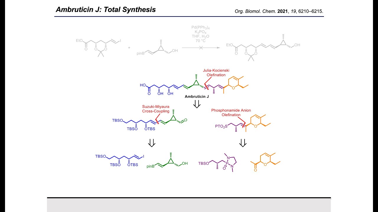 Synthesis Workshop: Total Synthesis of Ambruticin J with James Bowen (Episode 62)