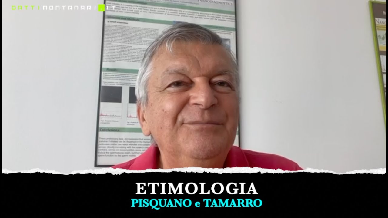 👉 Pisquano e Tamarro: da dove arrivano davvero questi improperi?