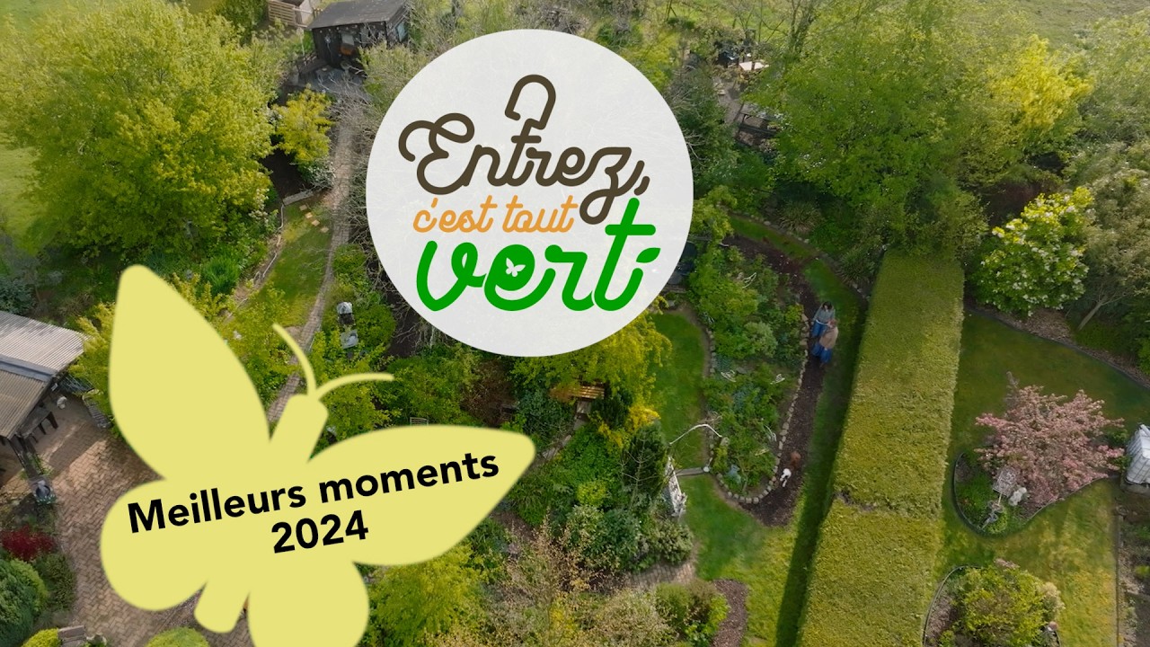 Les meilleurs moments de 2024 - Entrez C'est Tout Vert !