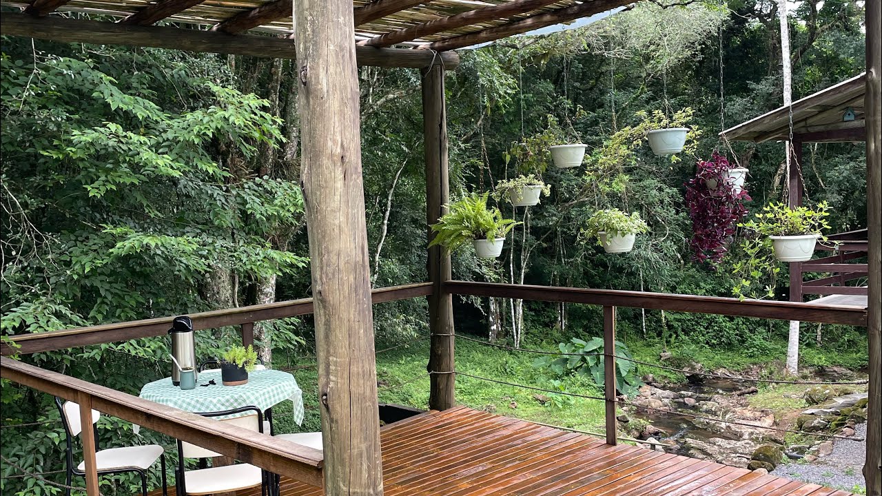 Chegou a hora de decorar o PERGOLADO COM PLANTAS