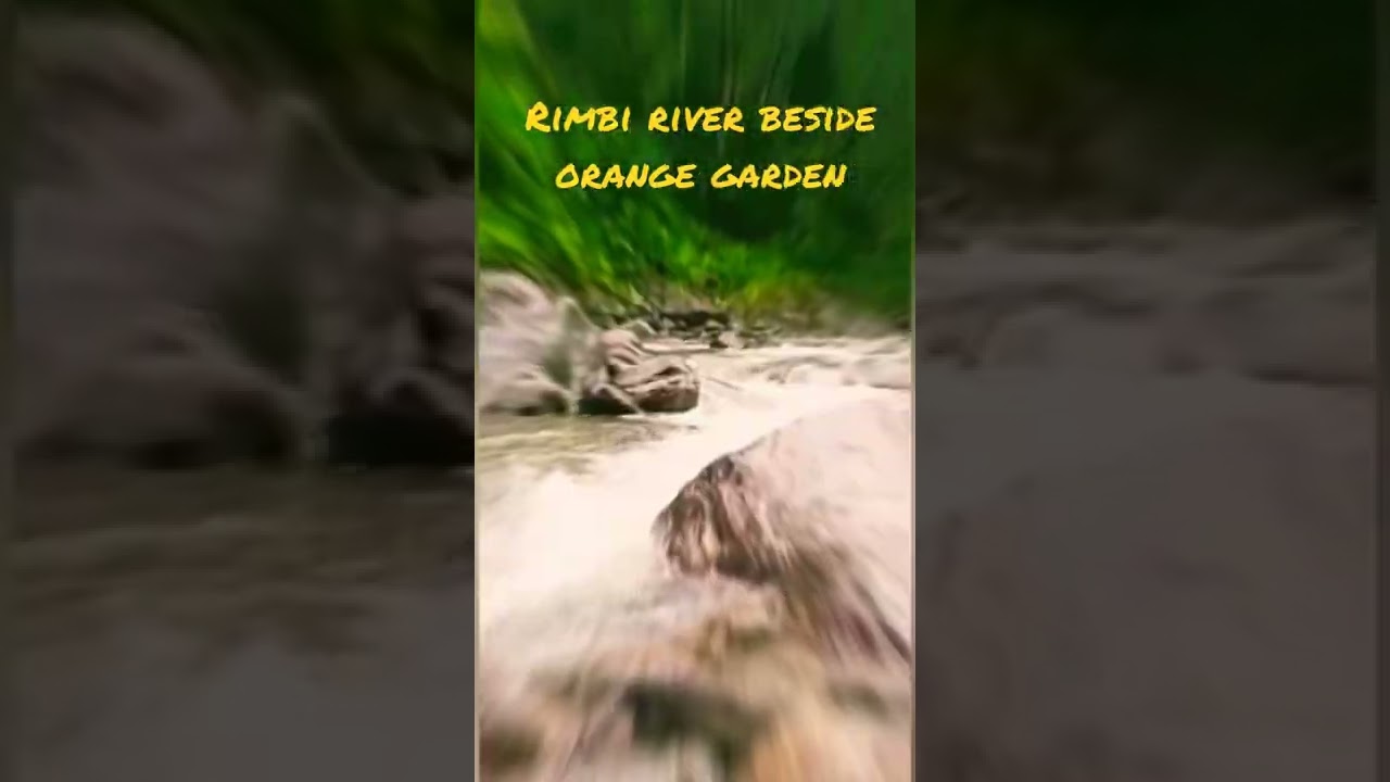 Rimbi river beside rimbi orange garden Sikkim