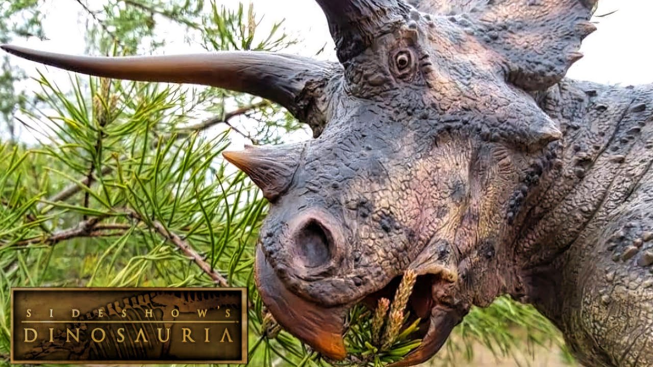 Dinosauria Sideshow Triceratops Statue Review!!!