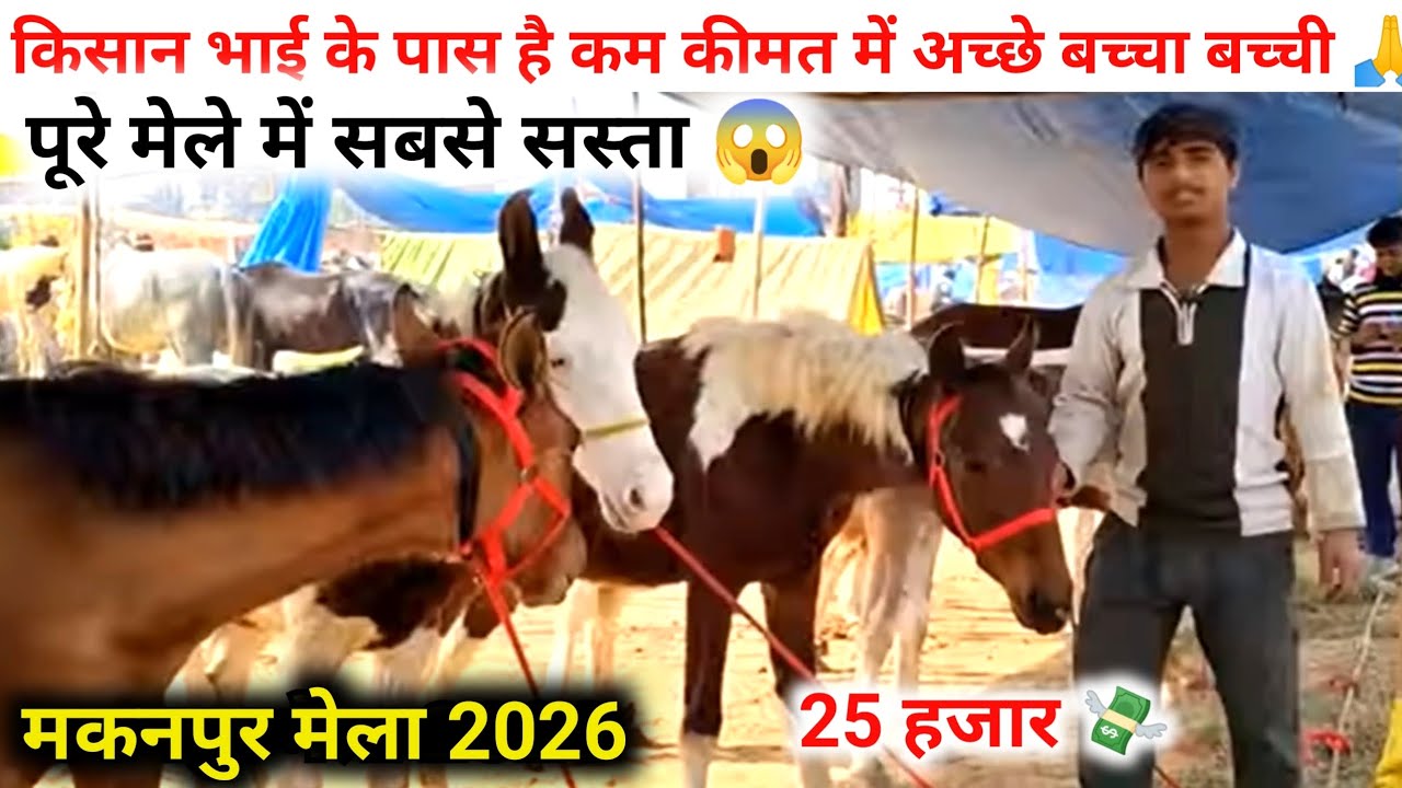 मकनपुर मेले में आया छोटा व्यापारी 😰 जिसके पास कम कीमत 💸 में दे रहा है बच्चा बच्ची ,2 ,3,4 ,5 महीना