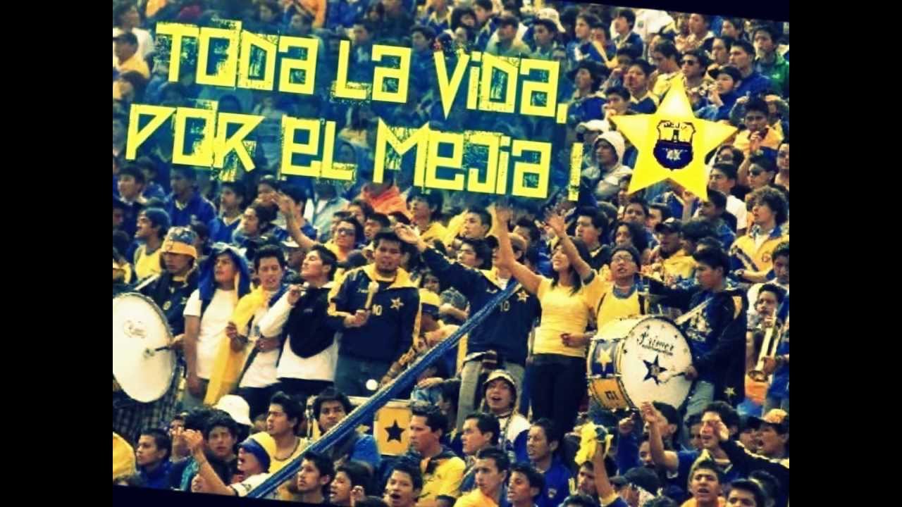 ESTO ES DEMENCIA MEJÍA
