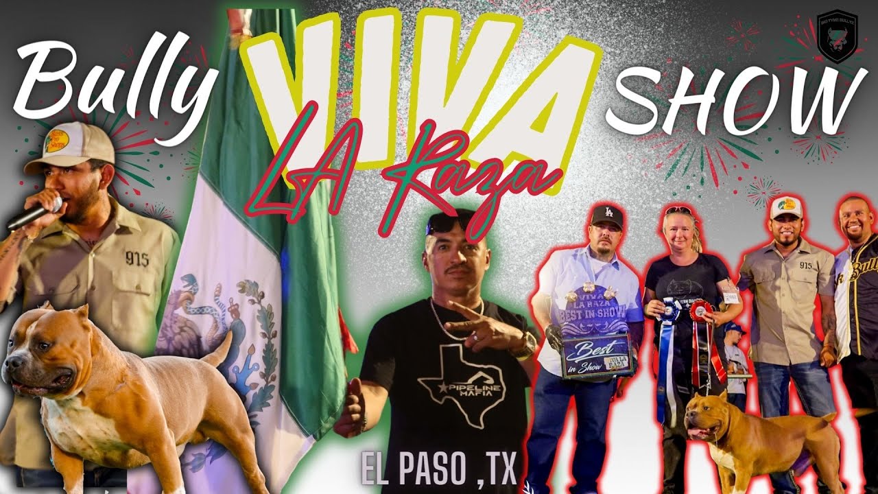 Viva La Raza 2023 Bully Show | El Paso, Tx | USBR