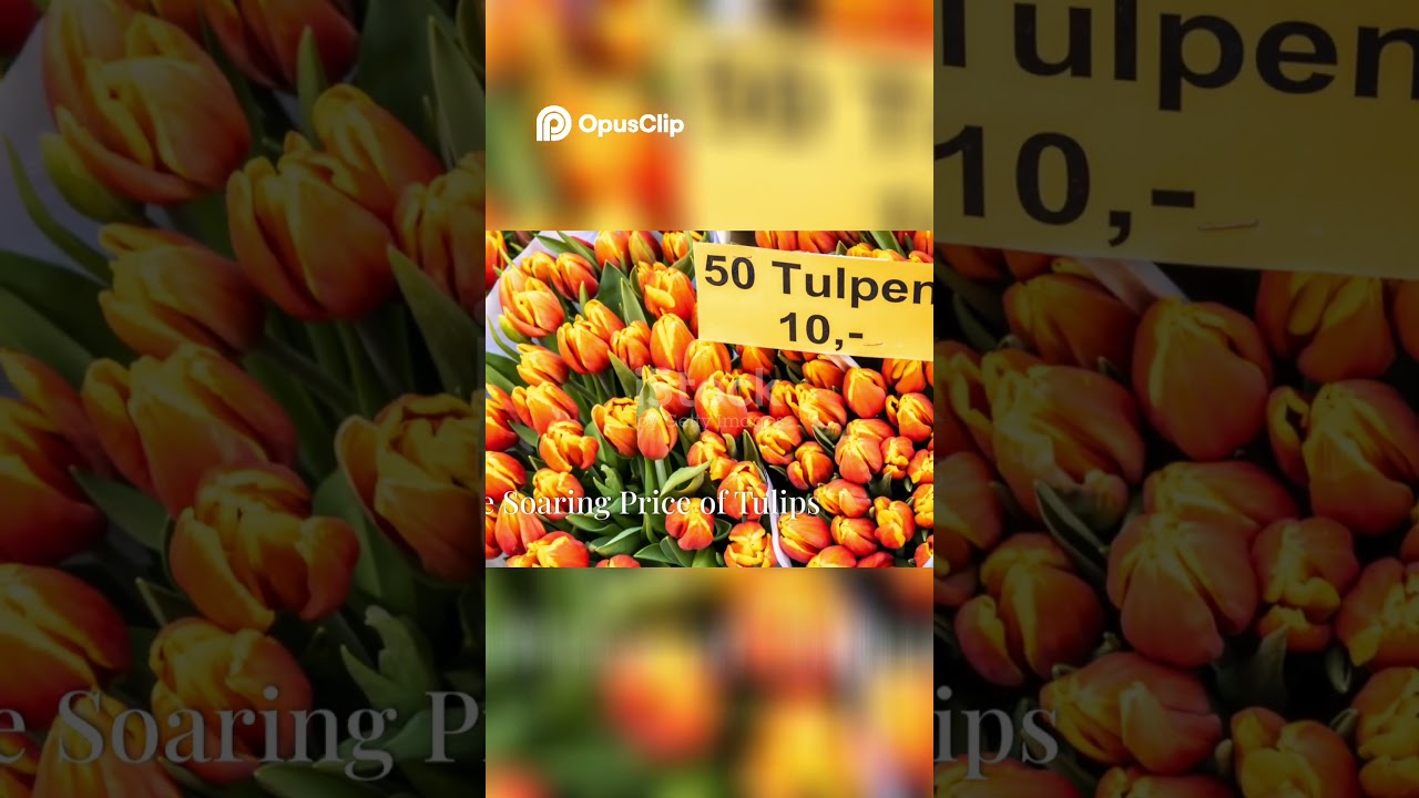 Der Tulpenwahn. Wie Blumen zu Reichtum führten 