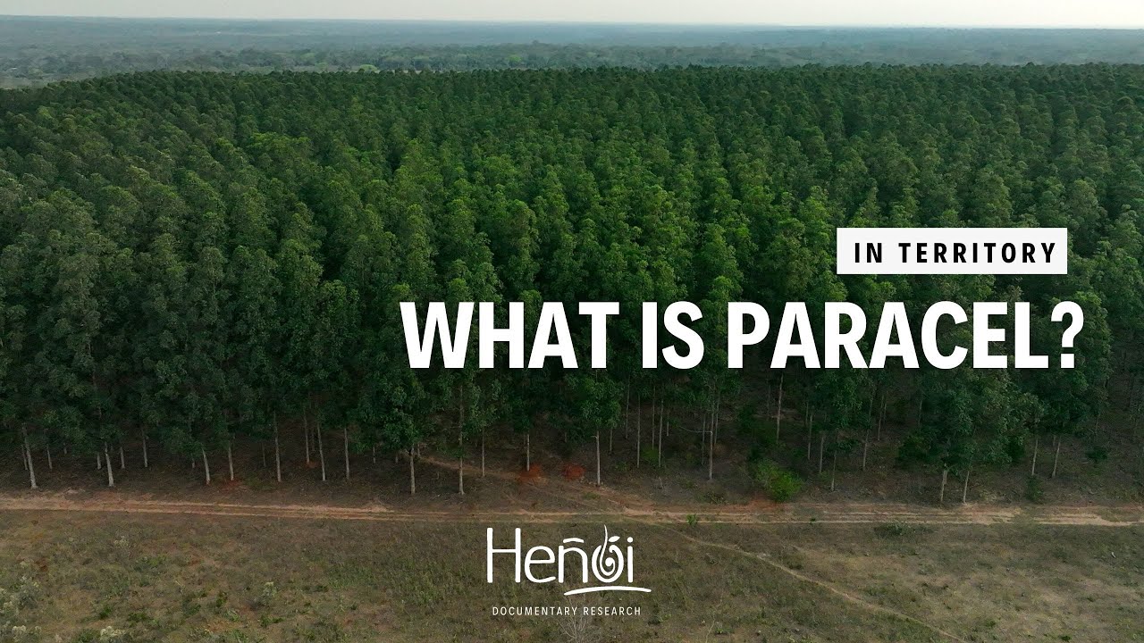 What is Paracel? - The largest private investment in Paraguay - #EnTerritorio