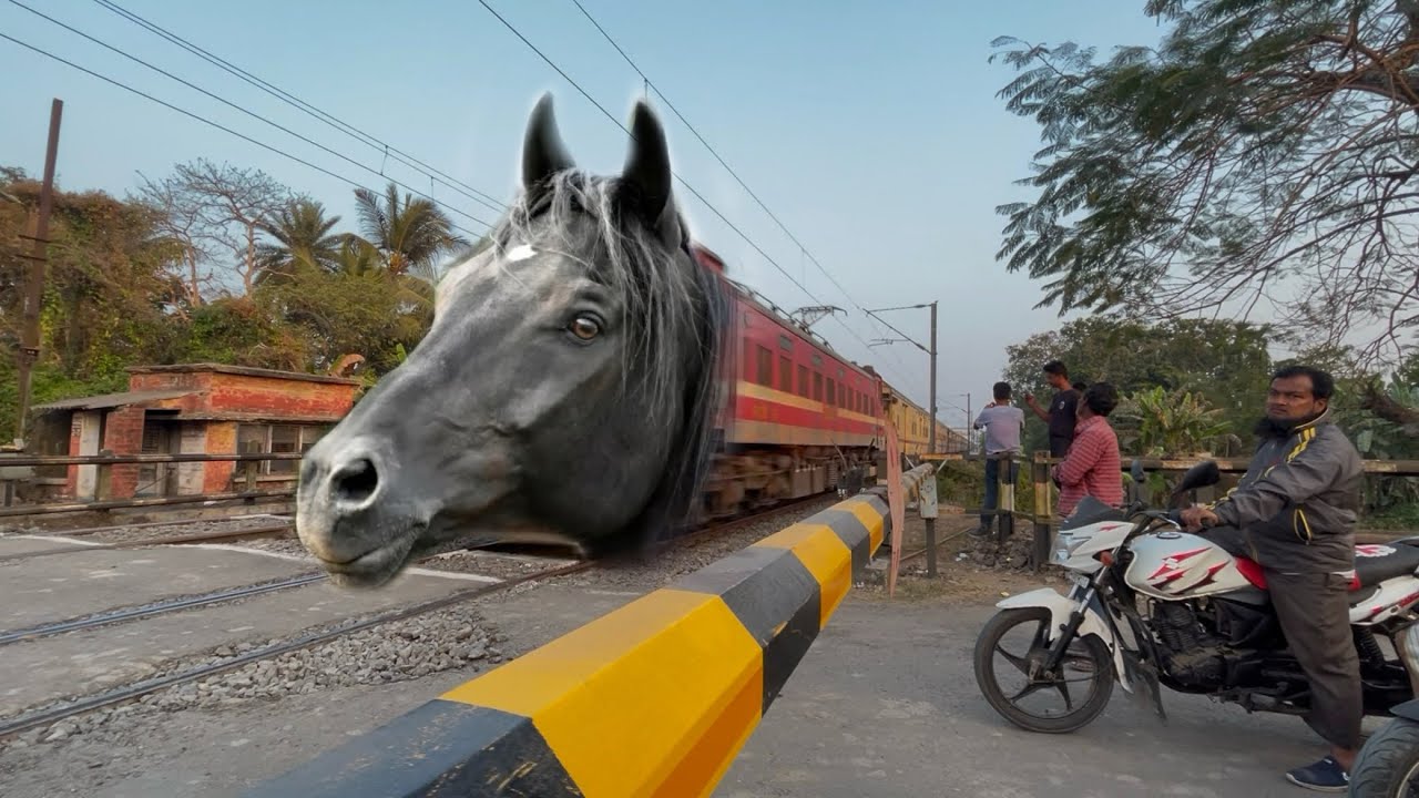Dangerous Horse Headed Teesta Torsa Express Furious Moving Throughout at Railgate Crossing 