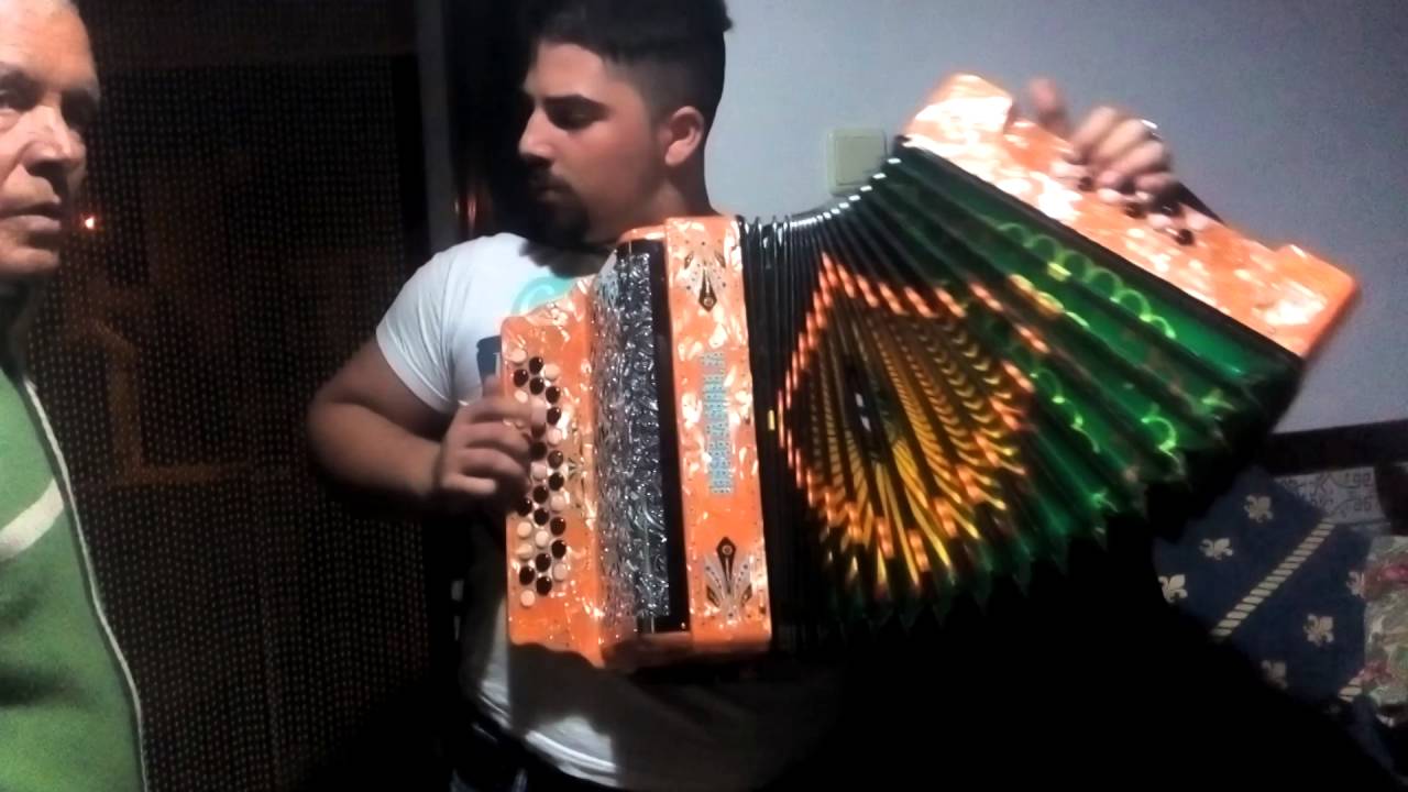 Cana verde michel