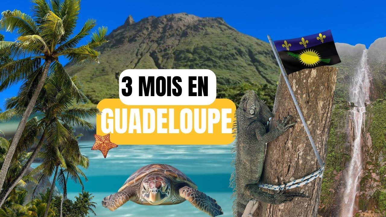 Notre aventure de 3 mois en GUADELOUPE !