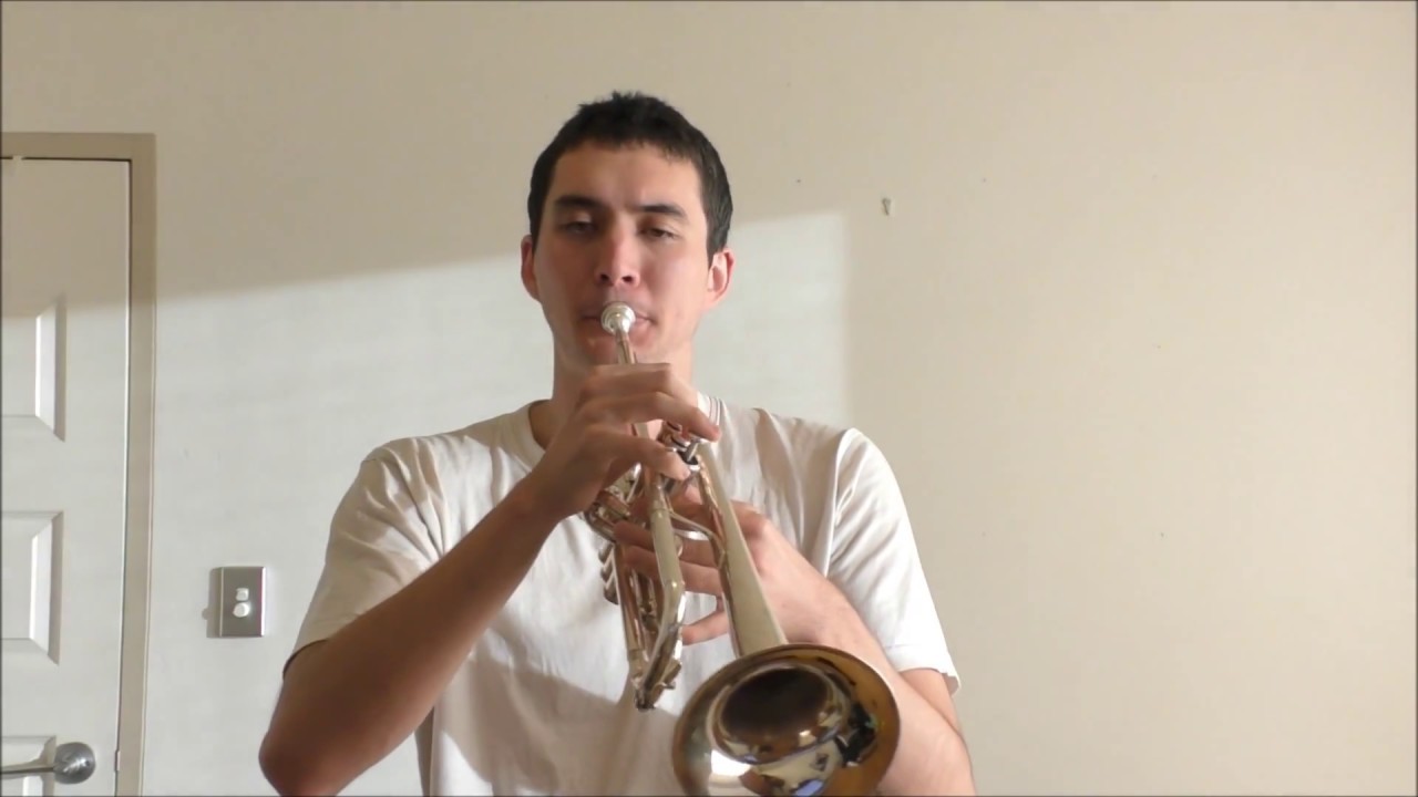 Wiz Khalifa - See You Again (Trumpet)