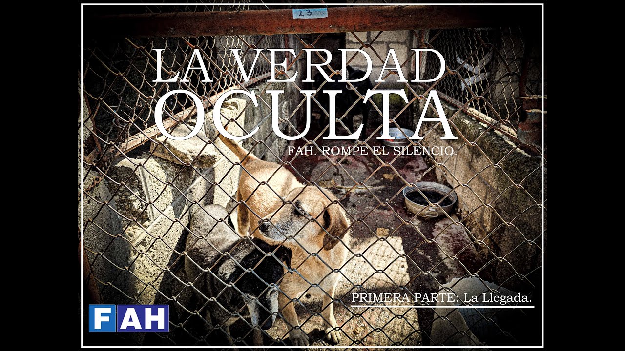 La Verdad Oculta | Cap&iacute;tulo 1: La Llegada &mdash; Refugio Franciscano
