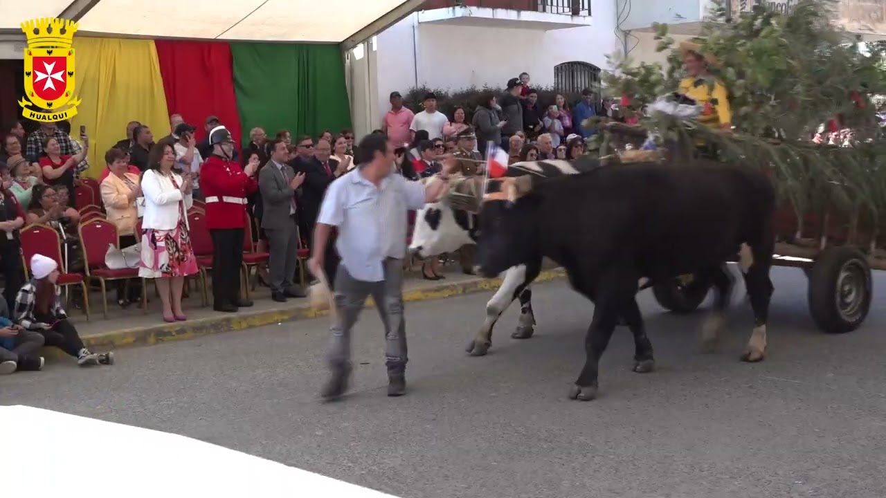 DESFILE 266 A&Ntilde;OS DE HUALQUI
