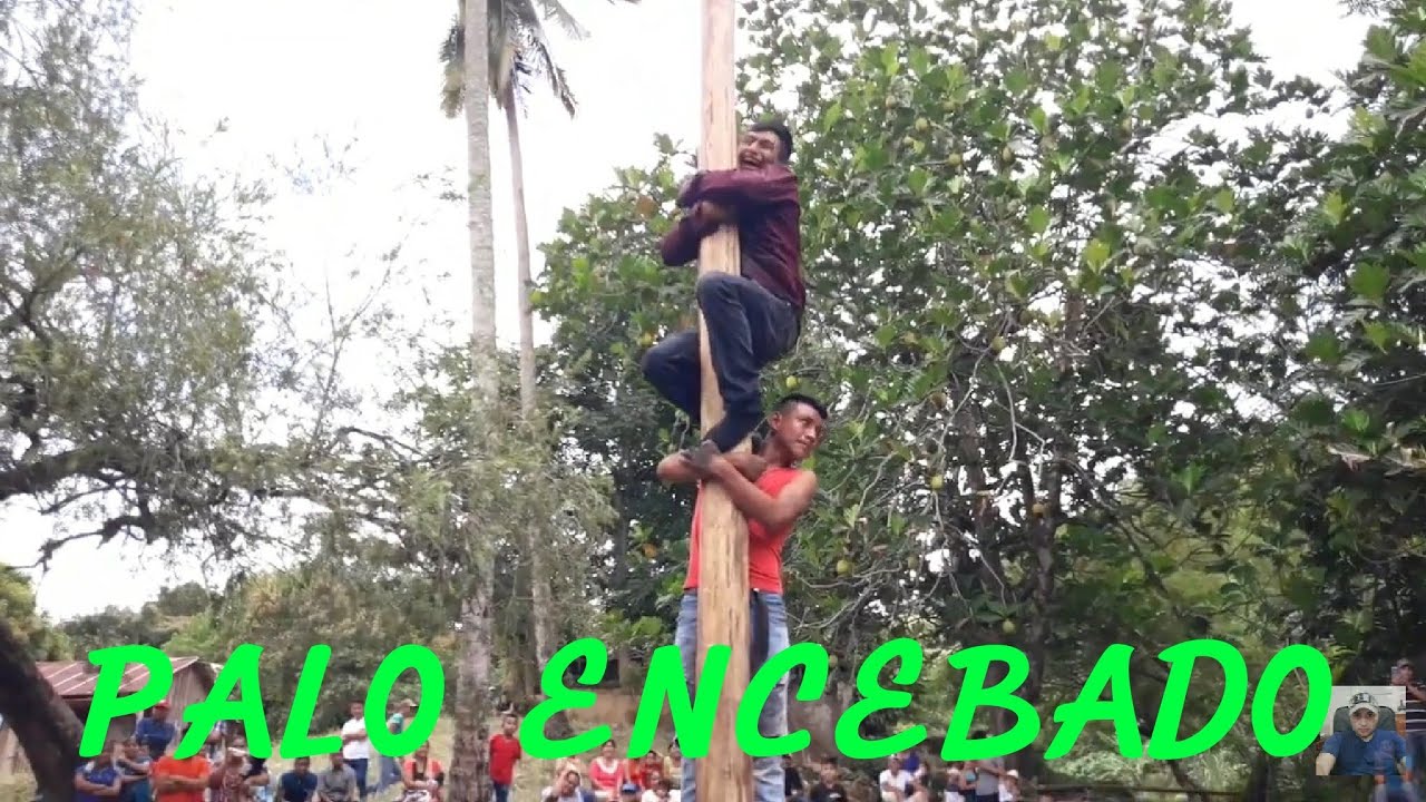 Palo Encebado Finca El Cisne