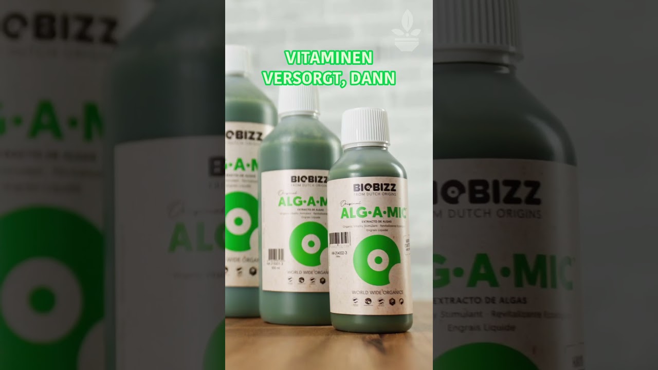 Alg A Mic - Organischer D&uuml;nger der deine Pflanzen vor Stress sch&uuml;tzt!