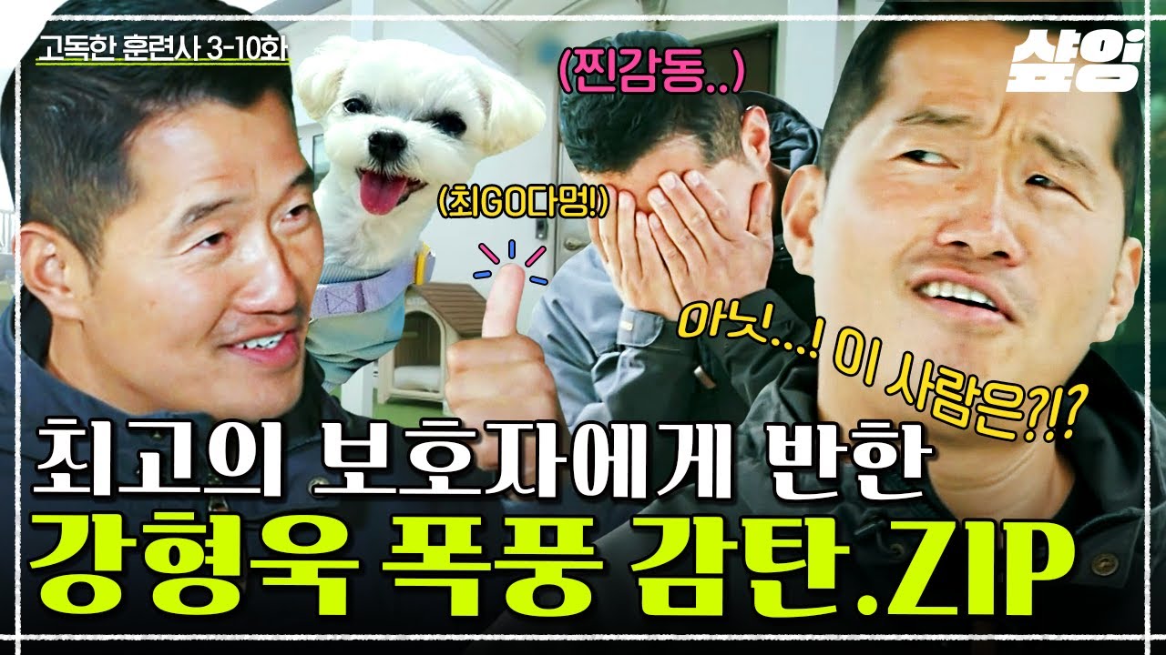 (45분) 강형욱이 리스펙하는 견주 모음집💜 