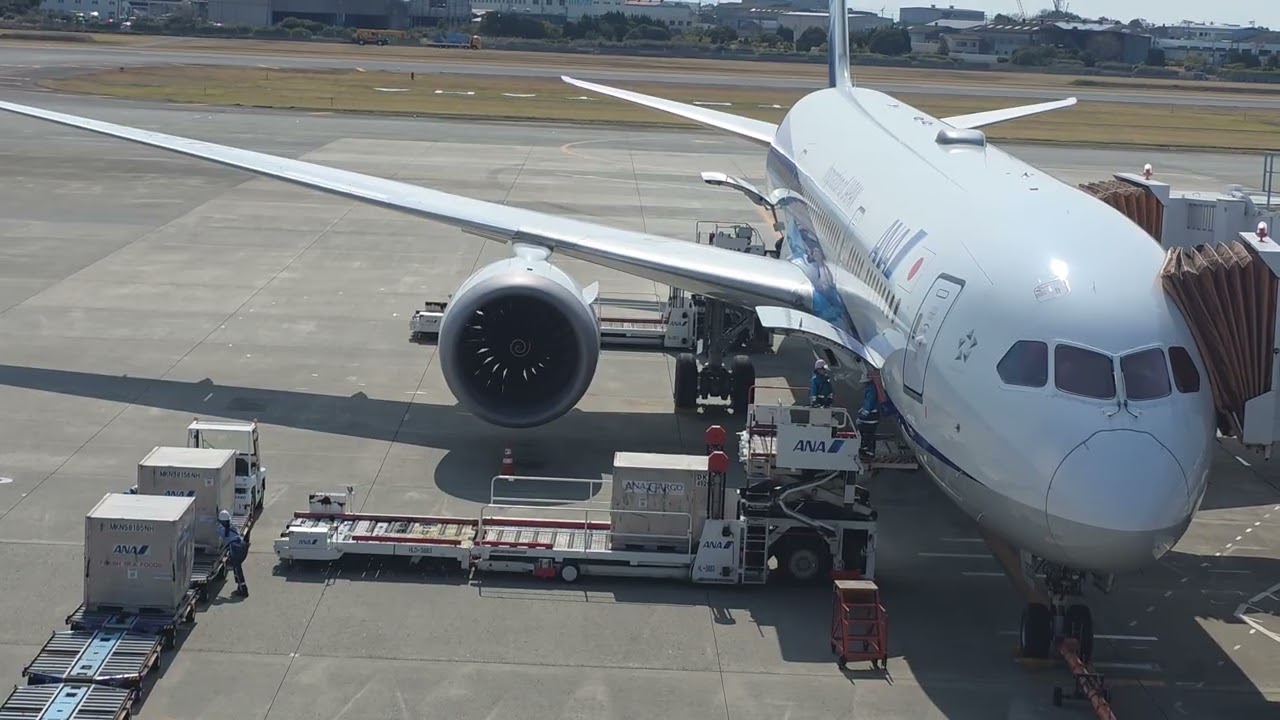 松山空港にて荷物の積み下ろし作業
