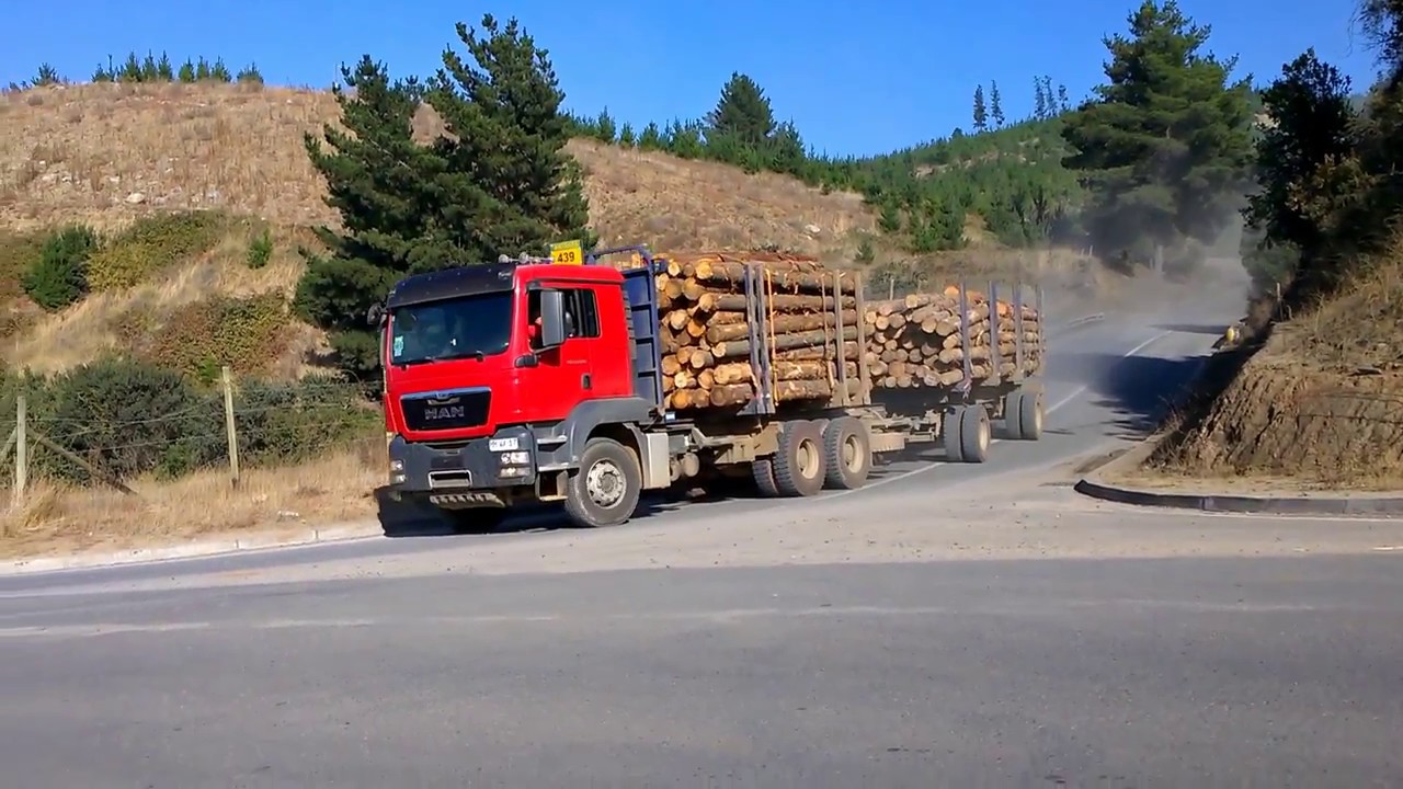 SCANIA, MERCEDES, MAN, VOLVO, camiones forestales, sur de Chile.