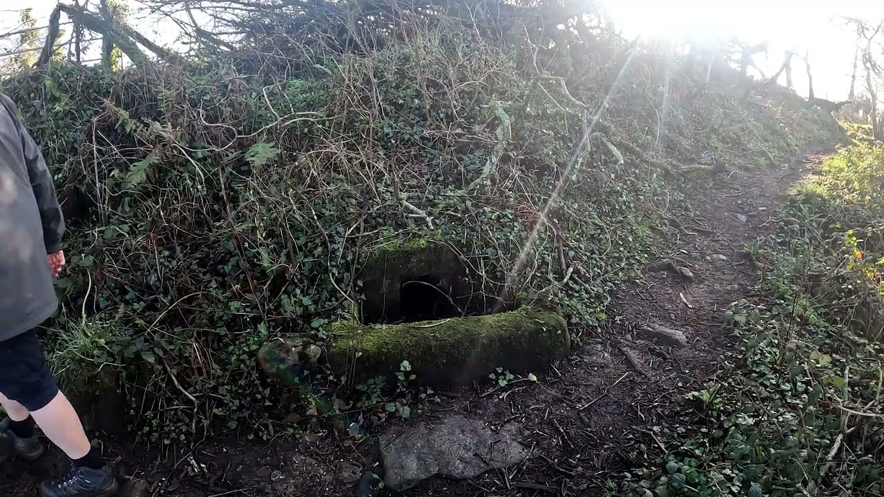 St Madrons Well
