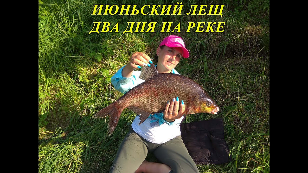 Крупный ЛЕЩ на фидер в жару ЛЕТО 2022 Рыбалка и отдых на Западной Двине . Лещ , Щука , Сом на реке .