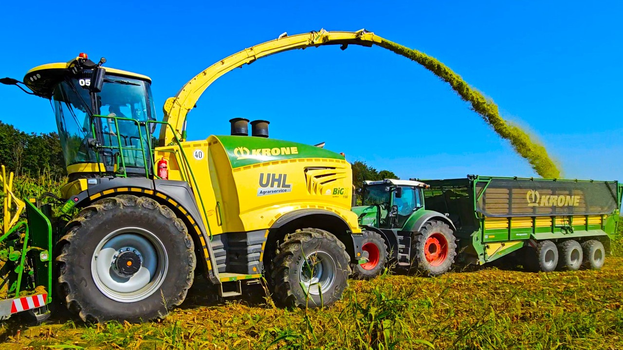 Krone Big X 1180 häckselt Energiegeladene Silphie Pflanzen für Bio-Gas!
