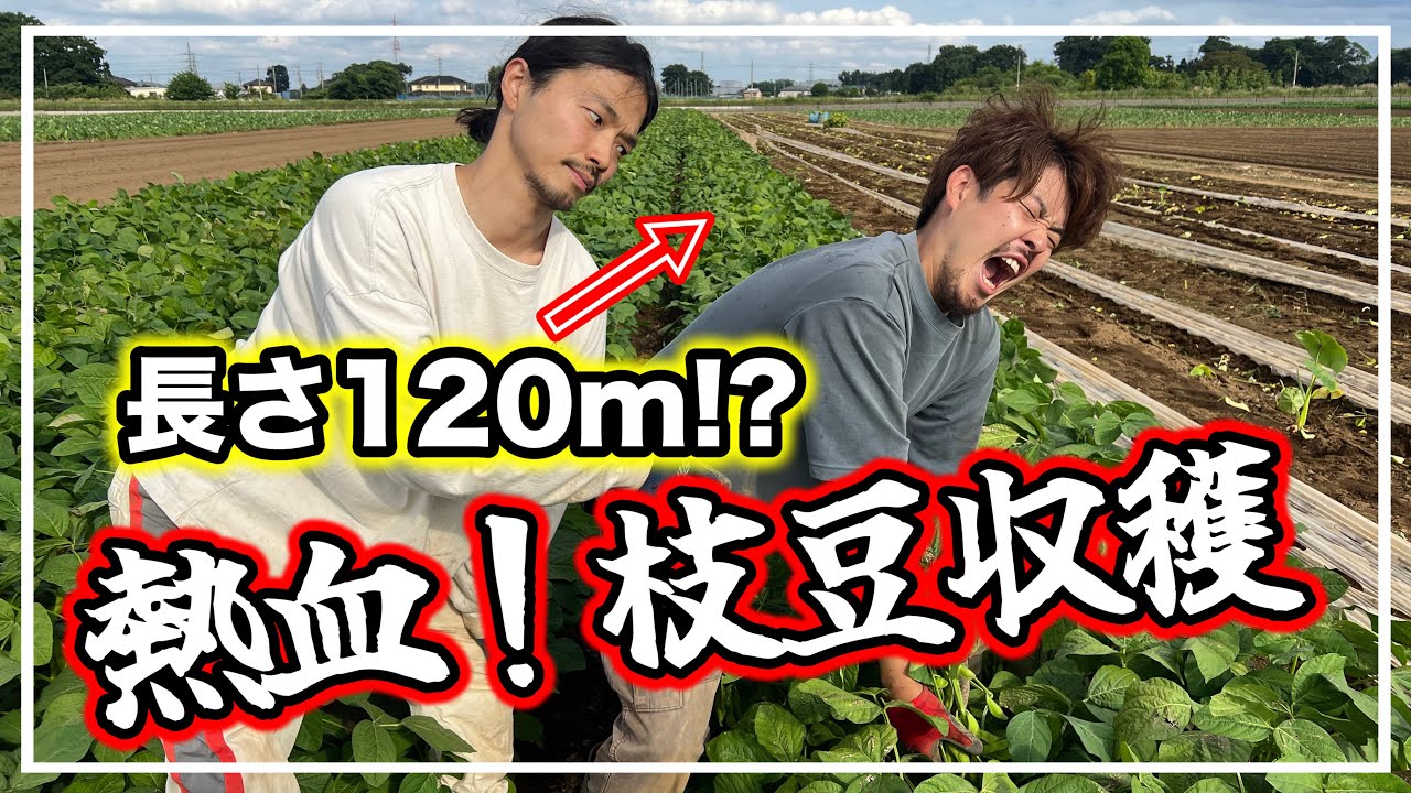 これが農業のリアル！枝豆収穫が過酷でした…【特別企画】