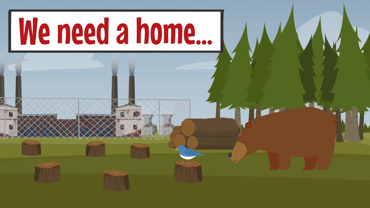 We need a home ... - Improve English Listening and Speaking Skills Everyday