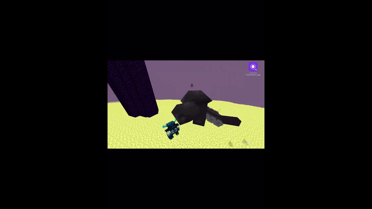 Wither Duo vs Solo Warden… Insane Fight 😳🐉 