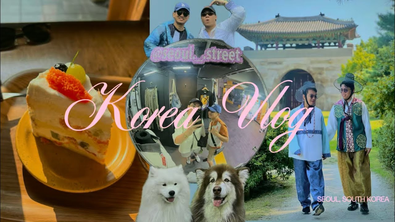 Korea Vlog 2024 | Sam & Zam Vlogs