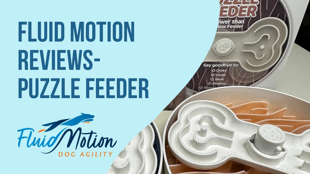 Fluid Motion Review - The Puzzle Feeder