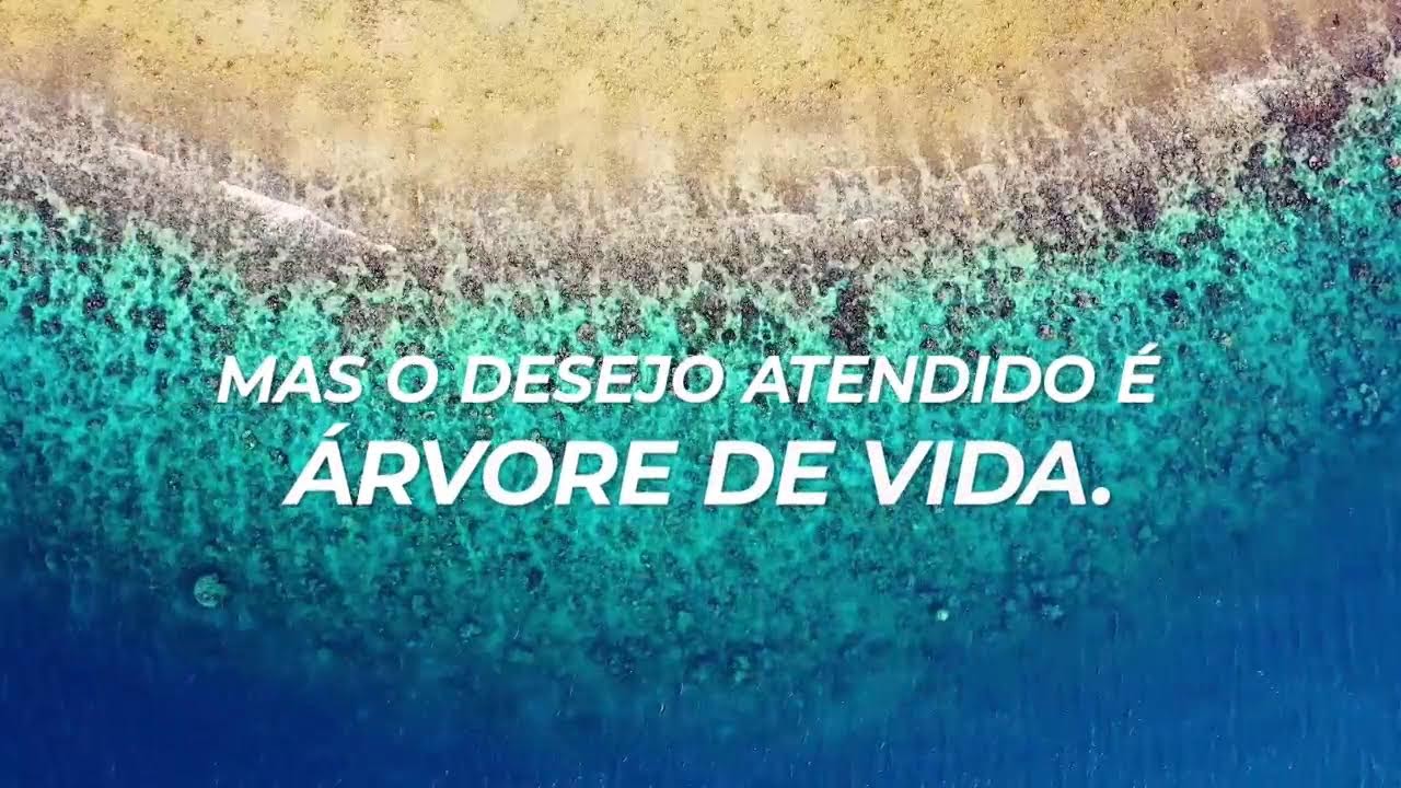 AO VIVO IMPD