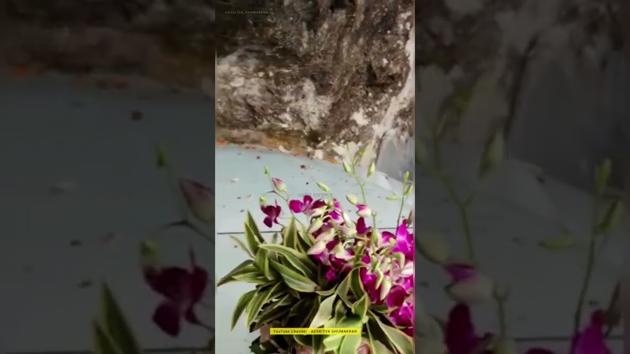 Amarnath Shivling Darshan from Holy Cave | Shri Amarnath Yatra 2025 | #amarnath #shorts