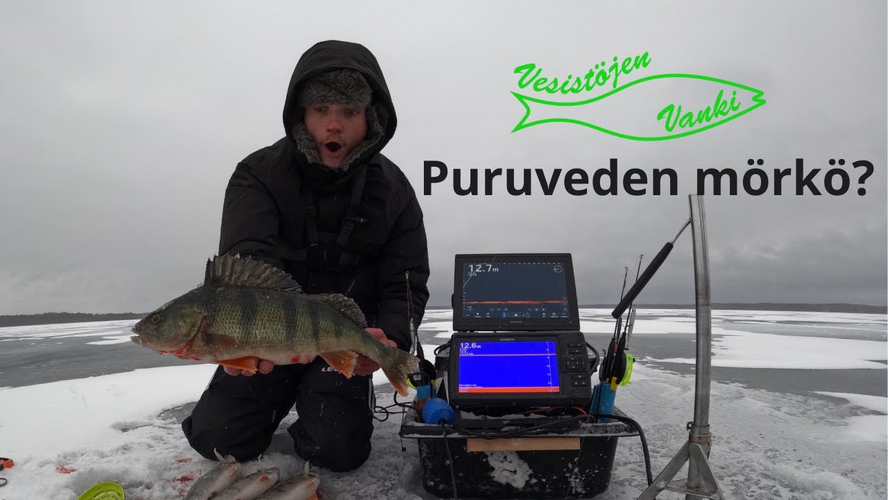 AHVENEN PILKINTÄÄ PURUVEDELLÄ[]TUHNU KELILLÄKÖ KALA SYÖ?[]2D+LIVE